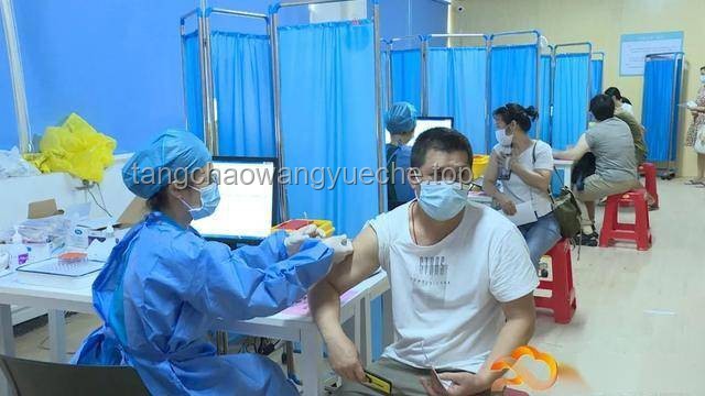 李晨48秒终结张真源：格斗技巧与速度力量的展示